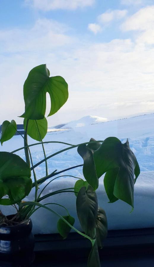 Svartaborg Húsavík Exterior foto